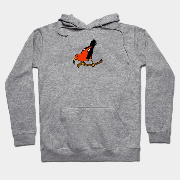 Hawaiian I'iwi bird Hoodie by William Gilliam